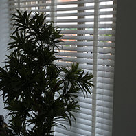 close up brede witte jaloezieen met ladderband